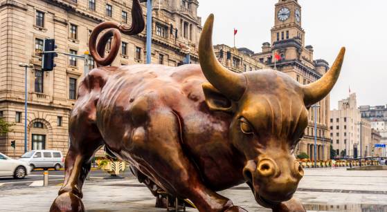 Meaning Of The Bull Market - The Opposition To The Bear One