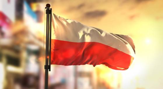 Polish data points to first quarter GDP contraction and sizable price pressures