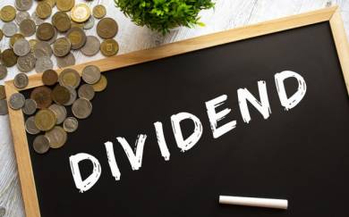 Why Investors Should Consider Quality Dividend Stocks