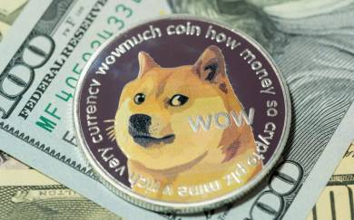 Analysis Of the Price Movements Of the Cryptocurrency Doge