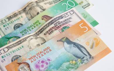 The New Zealand Dollar (NZD) Remained Extremely Volatile