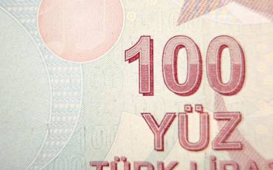 A Slump In The Turkish Current Account Balance Allowed The USD/TRY Pair To Print The First Daily Gains